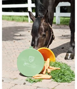 Online Seau à carottes Pippa Seaux & Mangeoires