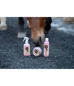 Discount Shampoing Champion Enfant Articles De Pansage Pour Enfants