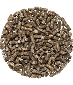 Sale Silice pour cheval Produits Dermite Estivale