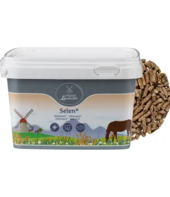 Outlet Sélénium + Aliments Complémentaires