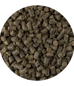 Best Soutien pour les bronches Aliments Complémentaires