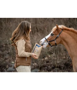 Best Soutien pour les bronches Aliments Complémentaires