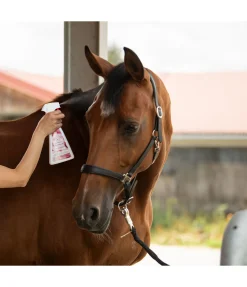 Online Spray à crins Sweet Magnolia Produits De Soin