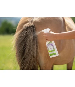 Hot Spray Eczemolin Produits Dermite Estivale