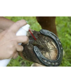 Online Spray de soin pour fourchettes Produits De Soin