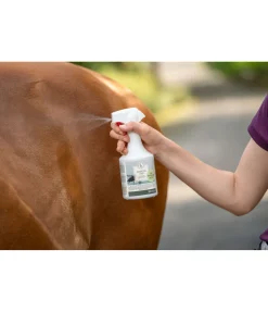 Clearance Stop insectes pour le cheval et le cavalier Produits Anti-Mouches