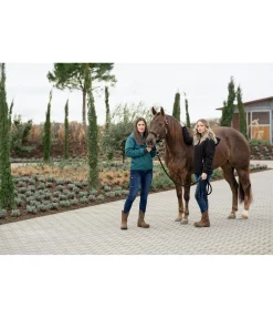 New Sweat à capuche en sherpa Cassy Femme Vestes Sweat, Vestes Polaire & Hoodies