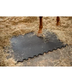 Clearance Tapis d'écurie Équipement Pour Le Box