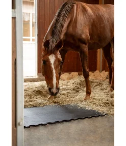 Clearance Tapis d'écurie Équipement Pour Le Box