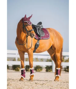 Best Tapis de selle Essential Tapis De Selle & Chabraques