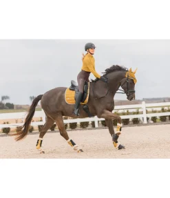 Hot Tapis de selle Essential Tapis De Selle & Chabraques