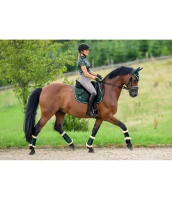 Online Tapis de selle Essential Tapis De Selle & Chabraques