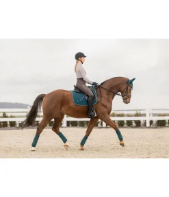 New Tapis de selle Basic Tapis De Selle & Chabraques