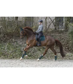 New Tapis de selle Basic Tapis De Selle & Chabraques