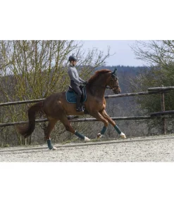 New Tapis de selle Basic Tapis De Selle & Chabraques