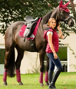 Clearance Tapis de selle Basic Pro Tapis De Selle & Chabraques