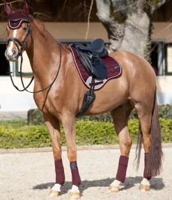 Online Tapis de selle Basic Pro Tapis De Selle & Chabraques
