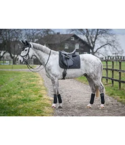 Clearance Tapis de selle Brillant Tapis De Selle & Chabraques