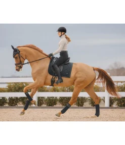 Clearance Tapis de selle Brillant Tapis De Selle & Chabraques