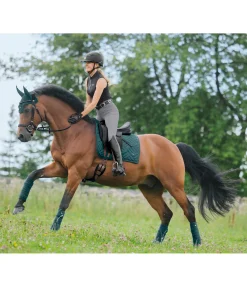 Outlet Tapis de selle Brillant Tapis De Selle & Chabraques