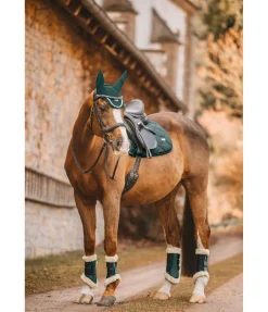 Tapis de selle Essential Standard Tapis De Selle & Chabraques