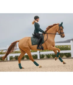 Sale Tapis de selle Night Sky Tapis De Selle & Chabraques