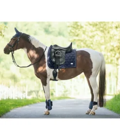 Best Tapis de selle Sophistication sans passants de contre-sanglons Tapis De Selle & Chabraques