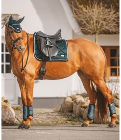 Clearance Tapis de selle Swiss Design Tapis De Selle & Chabraques