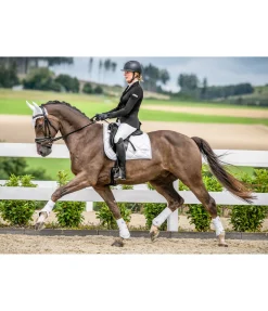 Hot Tapis de selle Swiss Design Tapis De Selle & Chabraques