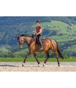 Online Tapis de selle en coton Basic Deluxe Tapis De Selle & Chabraques