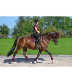 Online Tapis de selle en coton Basic Deluxe Tapis De Selle & Chabraques