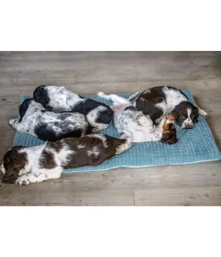 New Tapis pour chien Let Me Sleep Couchages Pour Chien