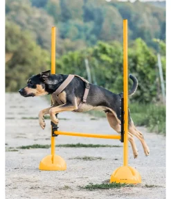 Outlet Taquets d'agility Agility