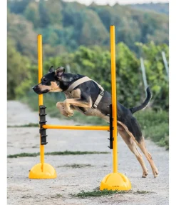 Outlet Taquets d'agility Agility