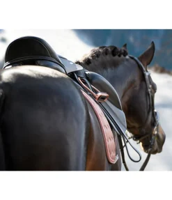 Outlet Étriers en acier affiné Etriers & Accessoires