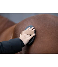 Sale Étrille Maya Matériel De Pansage