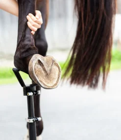 Sale Trépied EcoFlex 2 en 1 Maréchalerie & Crampons