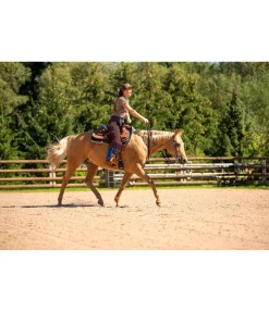 Discount T-shirt Molly Femme T-Shirts À Manches Courtes