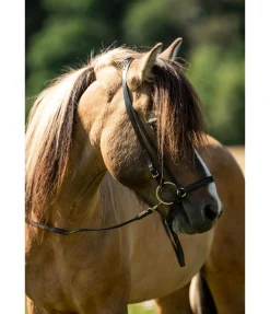 Online Têtière Gola Muserolle Française & Combinée