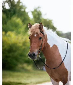 Discount Têtière Helgi Muserolle Française & Combinée