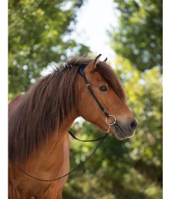 Discount Têtière anatomique Gilja Muserolle Française & Combinée