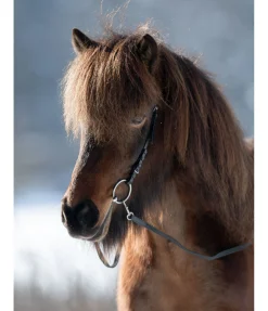 Discount Têtière anatomique Gilja Muserolle Française & Combinée