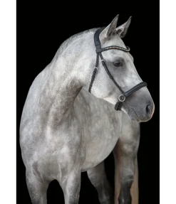 Hot Têtière en cuir gras sans mors Mix & Match Bridons Sans Embouchures|Bridons Mix & Match Pro