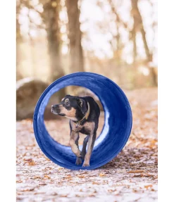 Discount Tunnel d'agility Agility