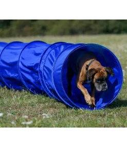 Discount Tunnel d'agility Agility