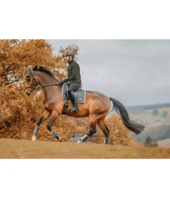 Outlet Veste polaire homme Phoenix Homme T-Shirt À Manches Longues & Pulls Homme|Vestes D'Équitation Homme