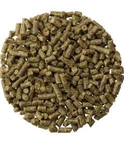 Online Zinc Booster Aliments Complémentaires