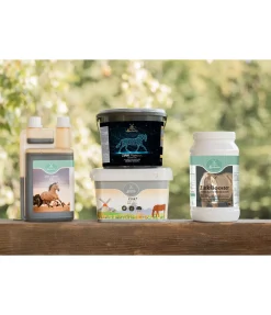 Online Zinc Booster Aliments Complémentaires